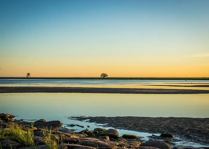 Sadama 4 Street * بارنو