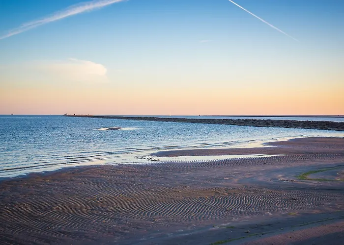 شقة Sadama 4 Street